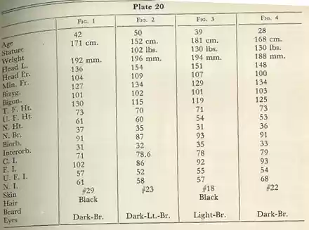 Plate 20